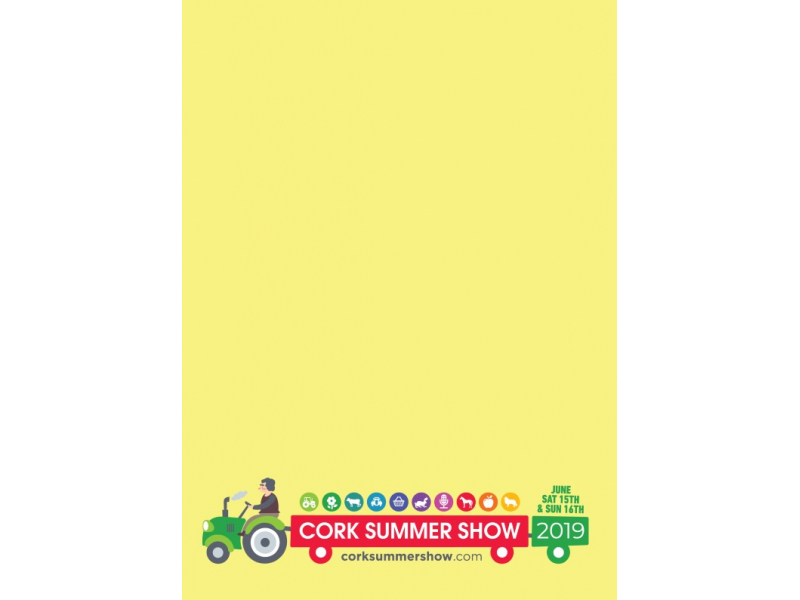 cork-summer-show-catalogue-2019-119